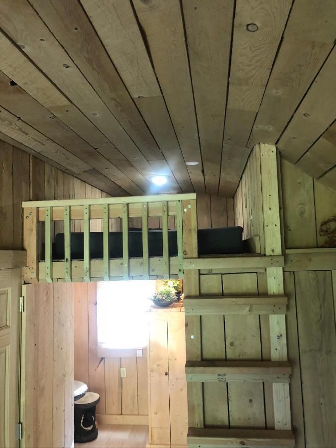 The Hideaway Tiny Cabin East Durham ภายนอก รูปภาพ